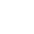 ico19